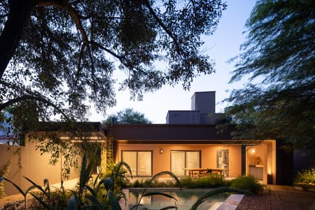 House around the Tree